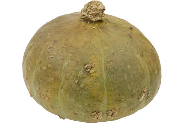 Pompoen Sweet Mama 3 a 4 kilo per kist 1 stuk
